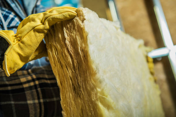 Best Blown-in Insulation  in Eddystone, PA