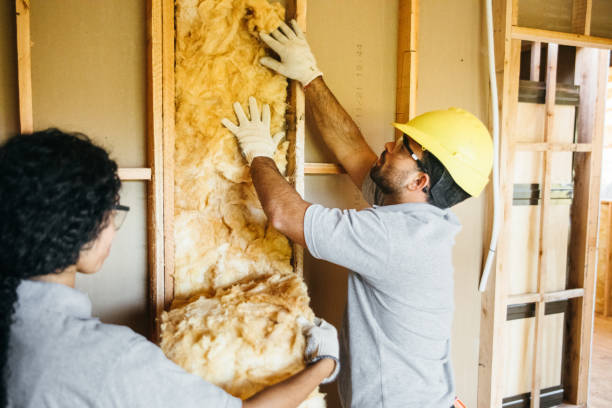 Best Insulation Removal Services  in Eddystone, PA