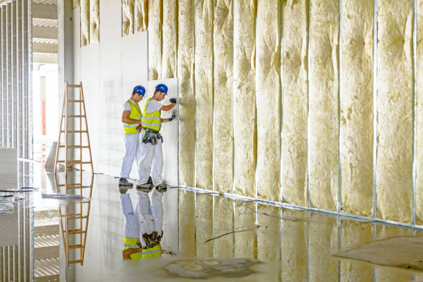 Best Insulation Contractors for Homes  in Eddystone, PA
